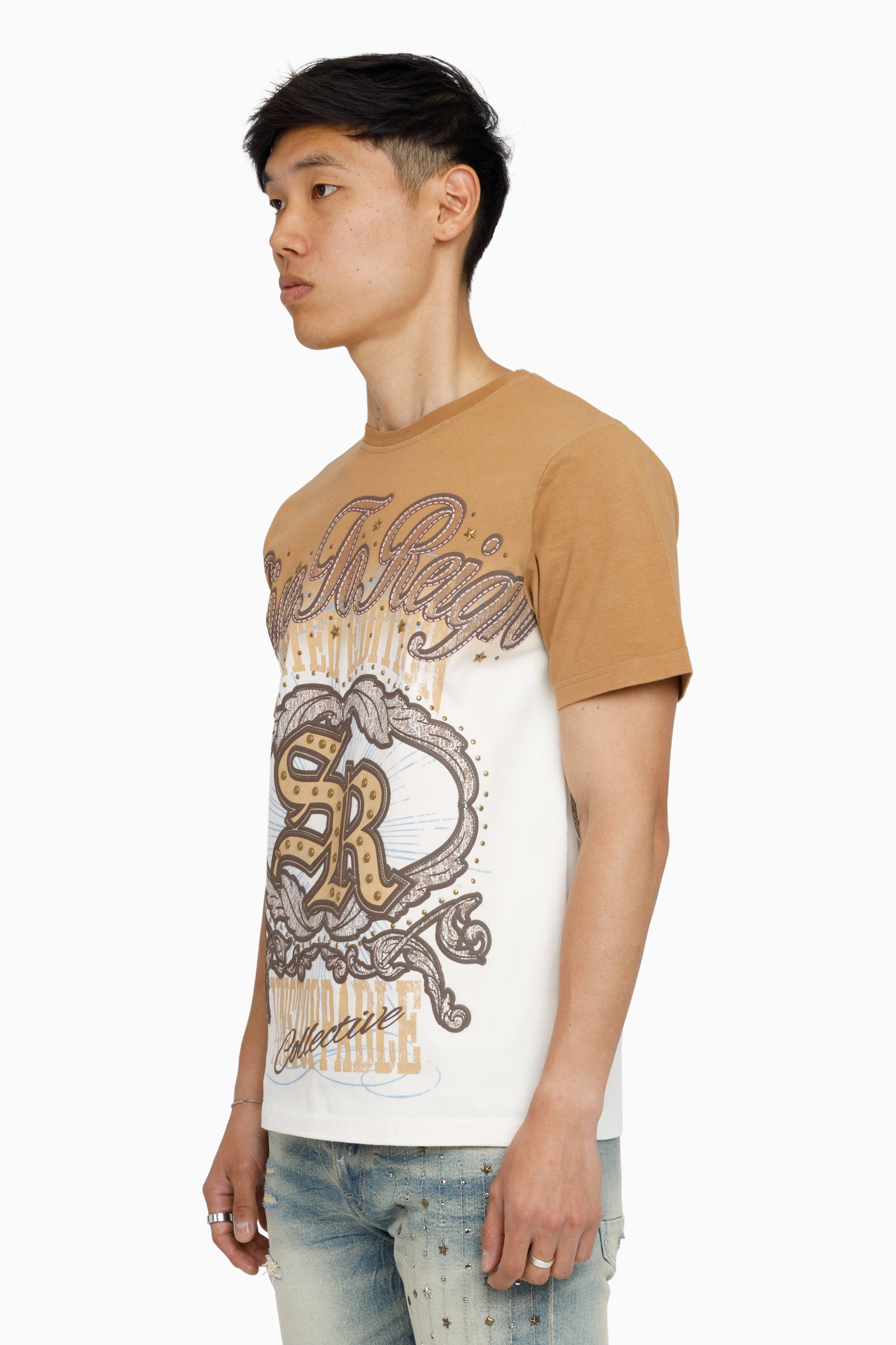 Rise To Reign SS T-Shirt - Lion