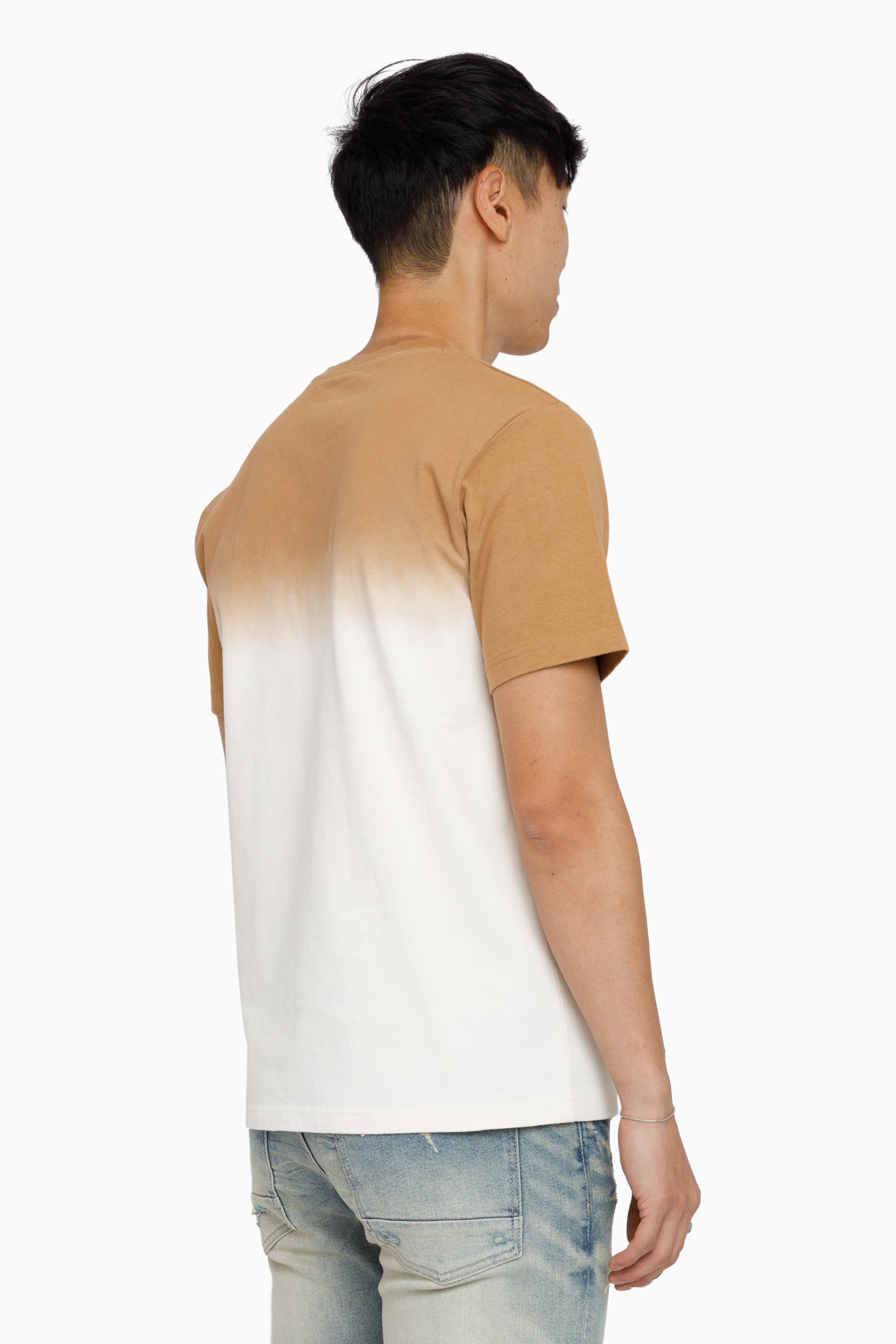 Rise To Reign SS T-Shirt - Lion