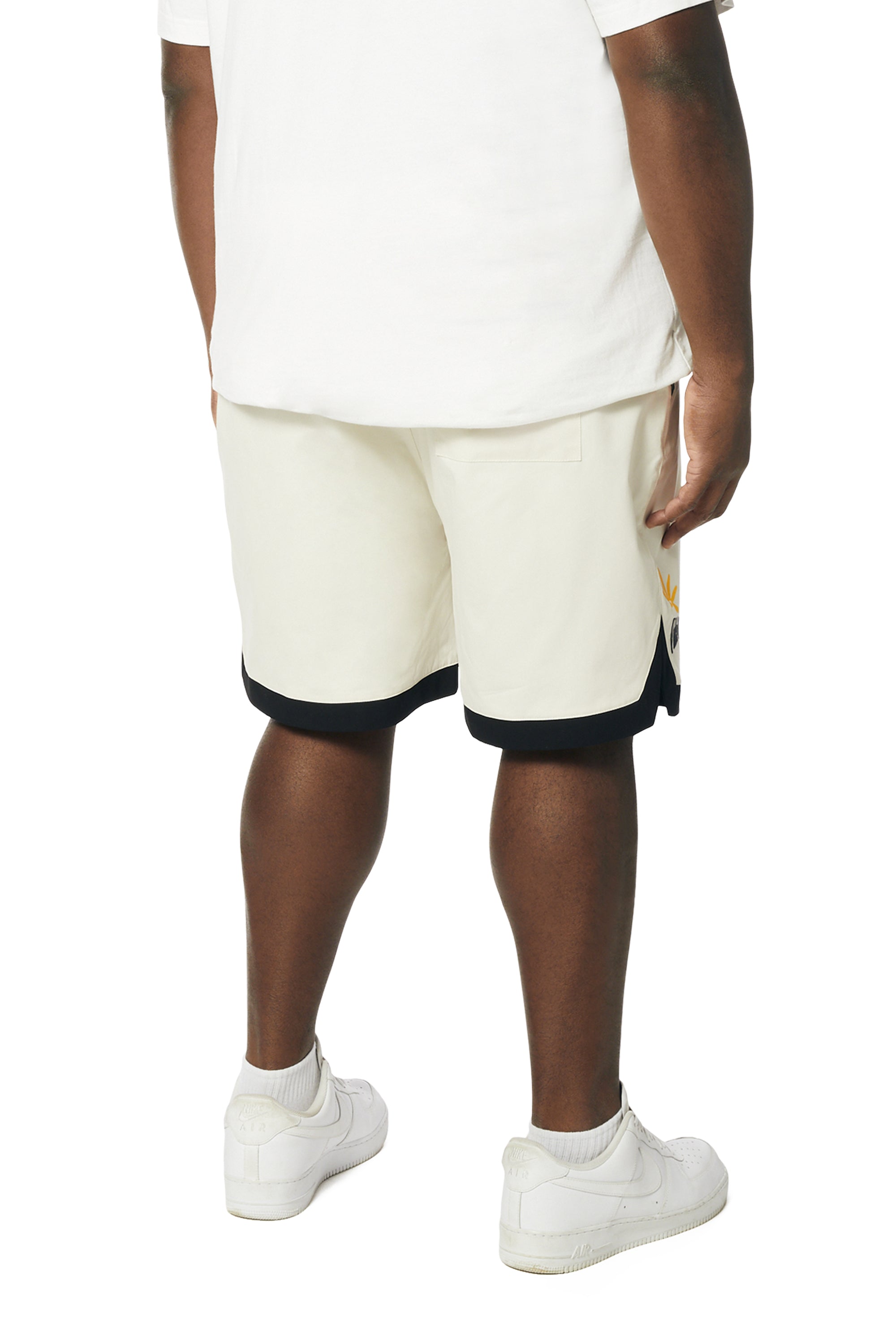 Big and Tall - Toucan Resort Polished Twill Shorts - Chalk
