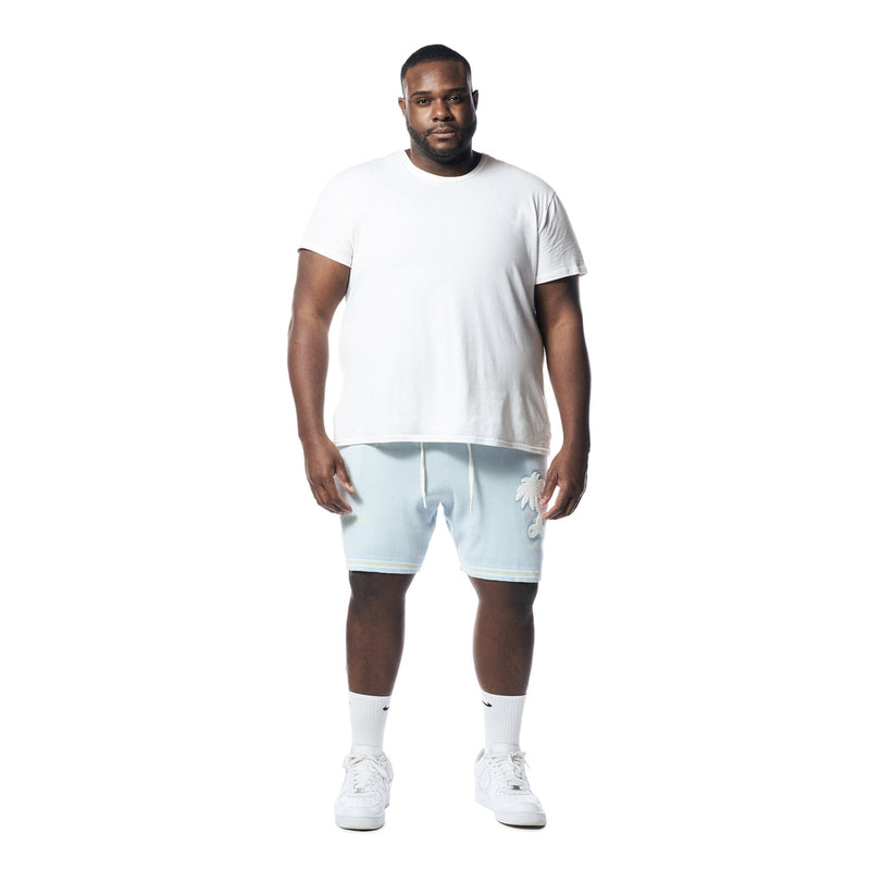 Big & Tall - Varsity Knit Jacquard Resort Shorts