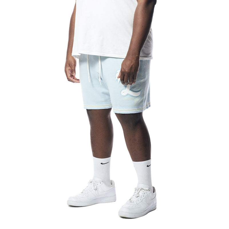 Big & Tall - Varsity Knit Jacquard Resort Shorts